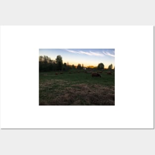 Scottish Highland Cattle Cows 2397 Posters and Art